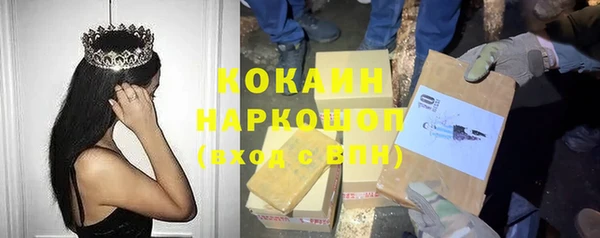 кокс Инсар