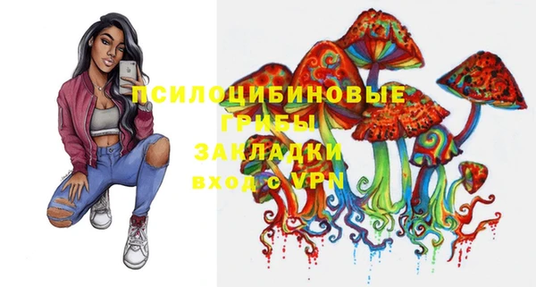 круглые Иннополис