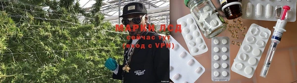 кокс Инсар