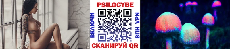 Купить где  Бирюч  Галлюциногенные грибы MAGIC MUSHROOMS 