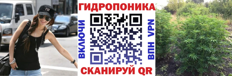Купить  Бирюч  Марихуана LSD WEED 